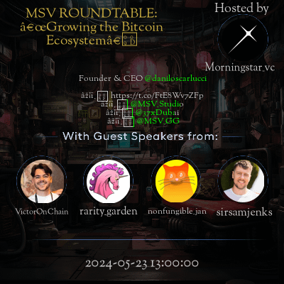 MSV Roundtable: Growing the Bitcoin Ecosystem event